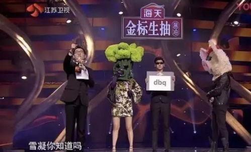 老舅复刻爆料视频,重温经典，致敬经典时刻